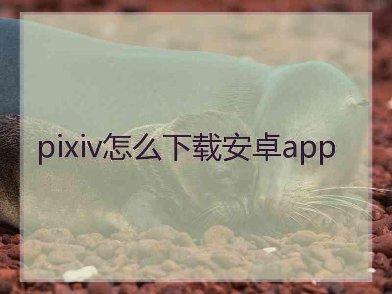 pixiv怎么下载安卓app