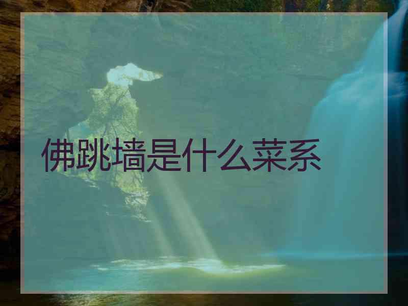 佛跳墙是什么菜系