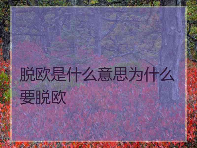 脱欧是什么意思为什么要脱欧