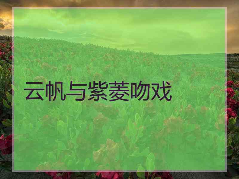云帆与紫菱吻戏