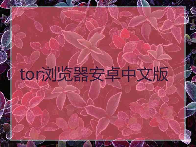 tor浏览器安卓中文版