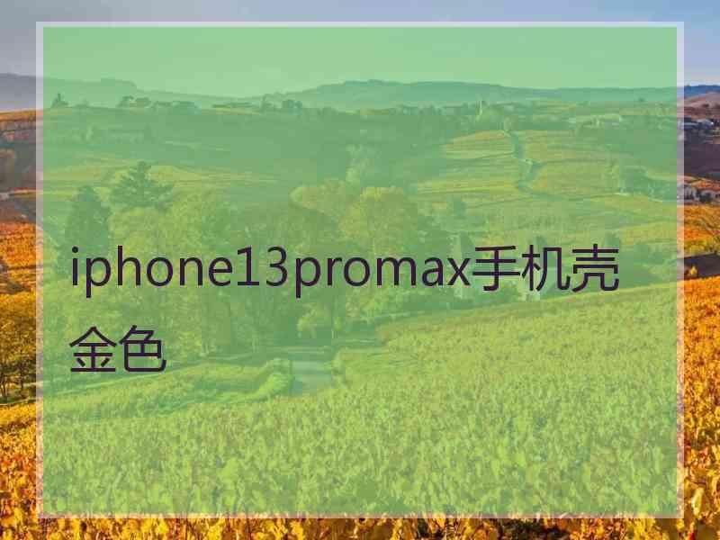 iphone13promax手机壳金色