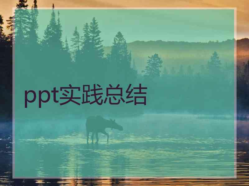 ppt实践总结