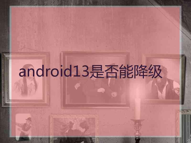 android13是否能降级