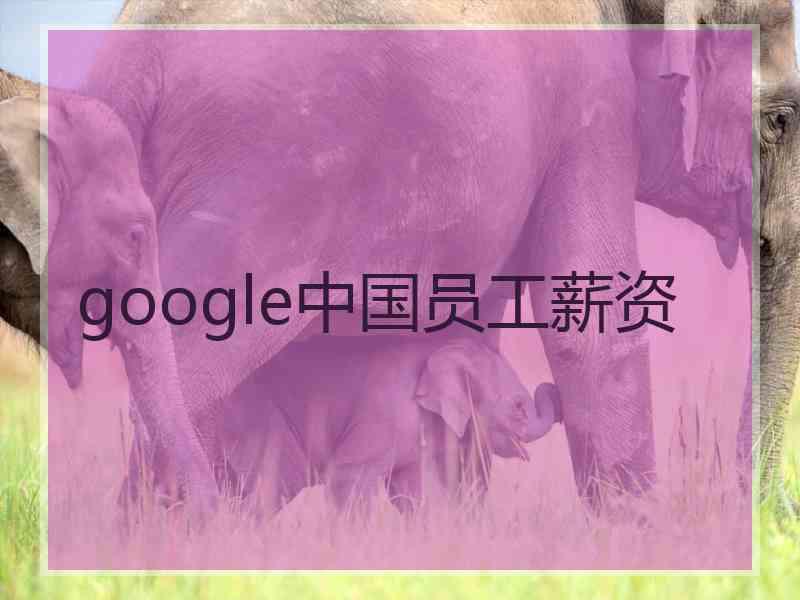 google中国员工薪资