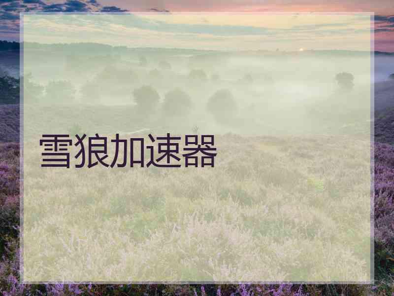 雪狼加速器