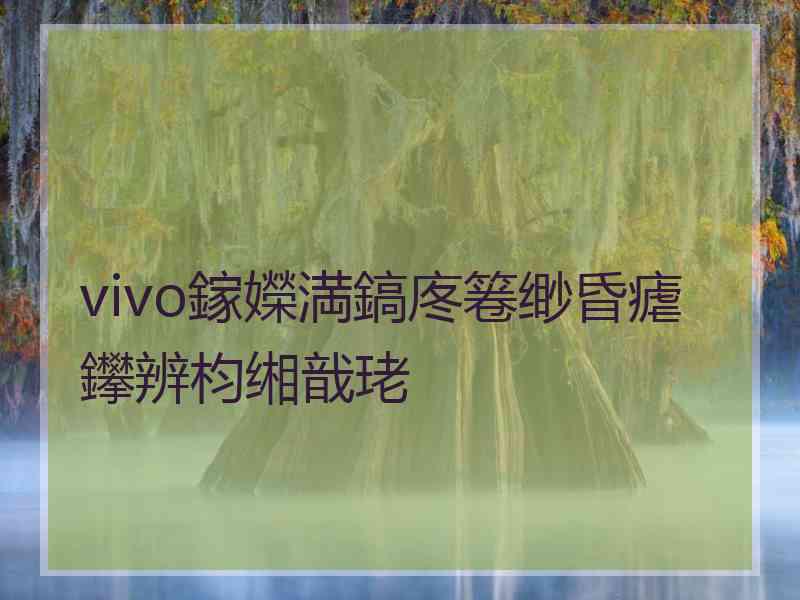 vivo鎵嬫満鎬庝箞缈昏瘧鑻辨枃缃戠珯