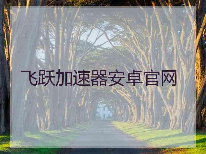 飞跃加速器安卓官网