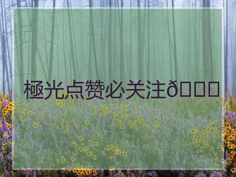 極光点赞必关注🙈