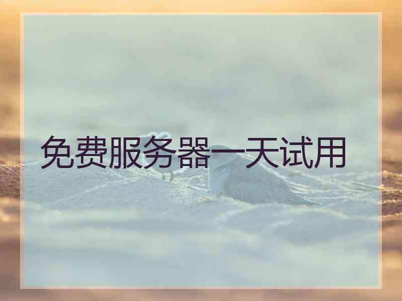 免费服务器一天试用