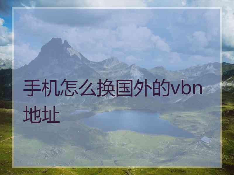手机怎么换国外的vbn地址