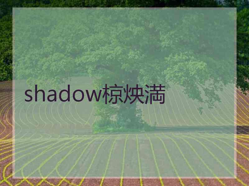 shadow椋炴満