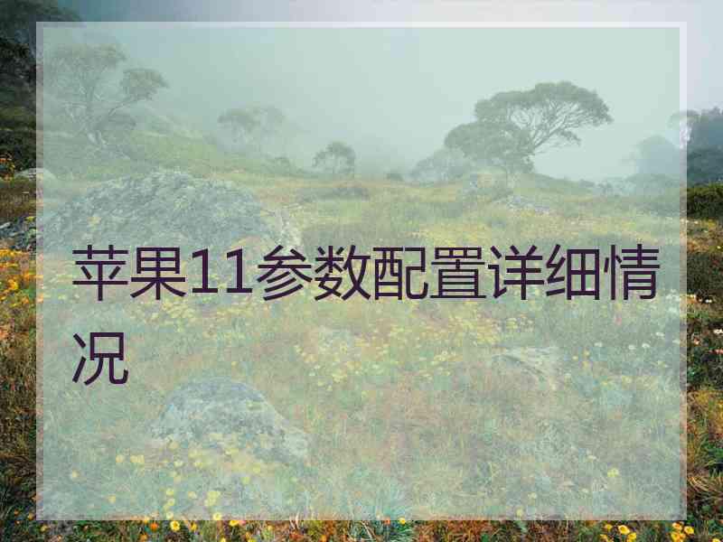 苹果11参数配置详细情况