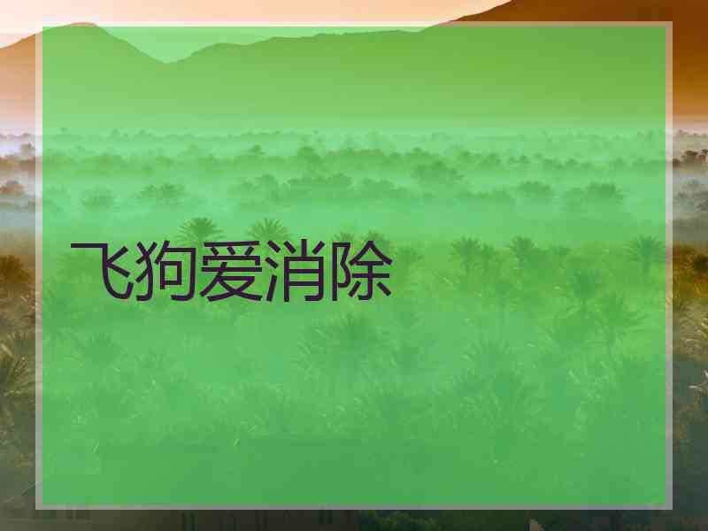 飞狗爱消除