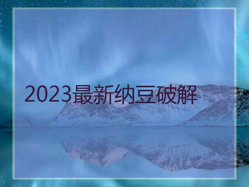 2023最新纳豆破解