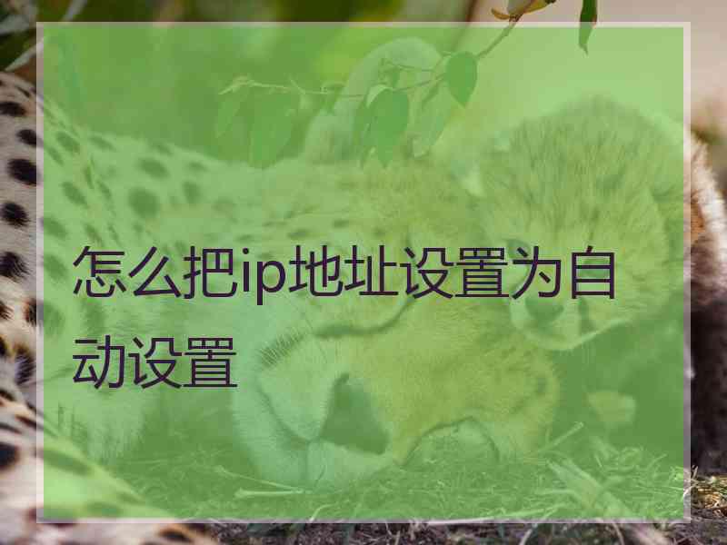 怎么把ip地址设置为自动设置