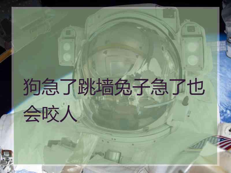 狗急了跳墙兔子急了也会咬人
