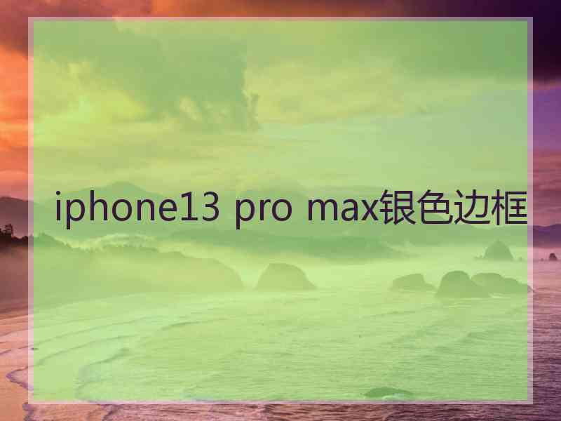 iphone13 pro max银色边框