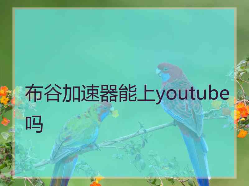 布谷加速器能上youtube吗
