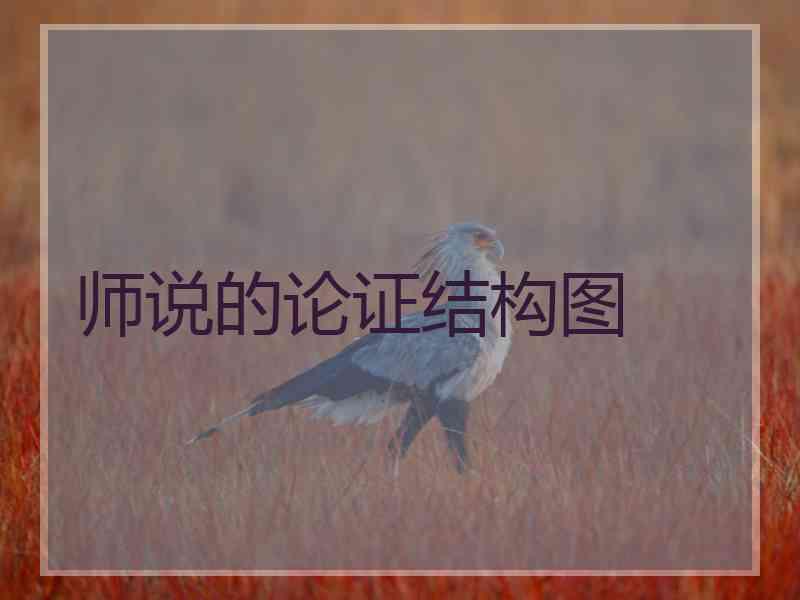 师说的论证结构图