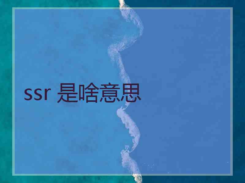 ssr 是啥意思