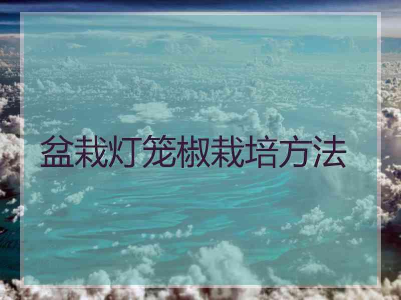 盆栽灯笼椒栽培方法