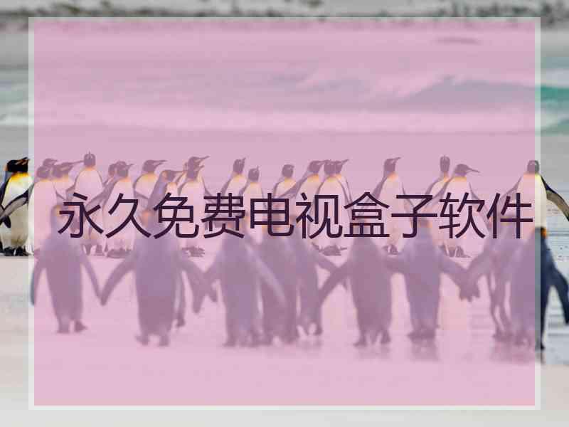 永久免费电视盒子软件