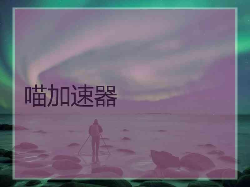 喵加速器