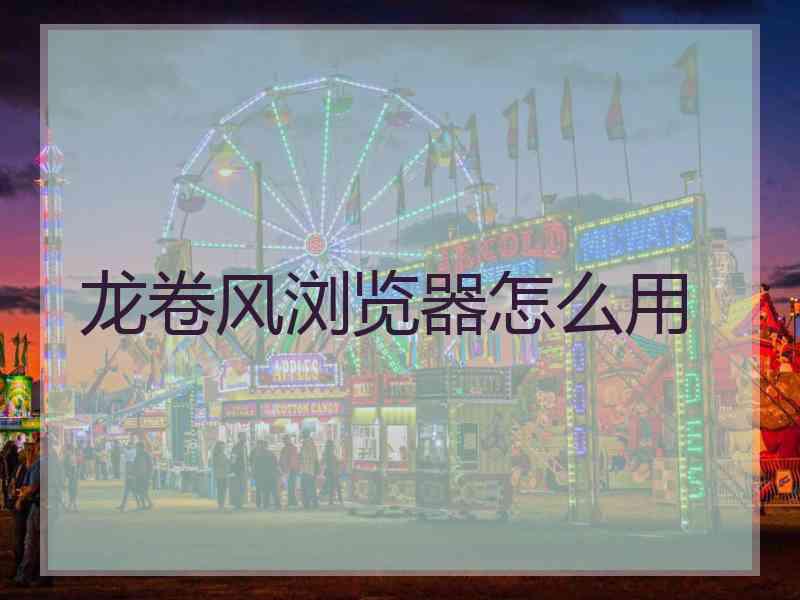 龙卷风浏览器怎么用