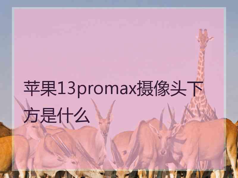 苹果13promax摄像头下方是什么