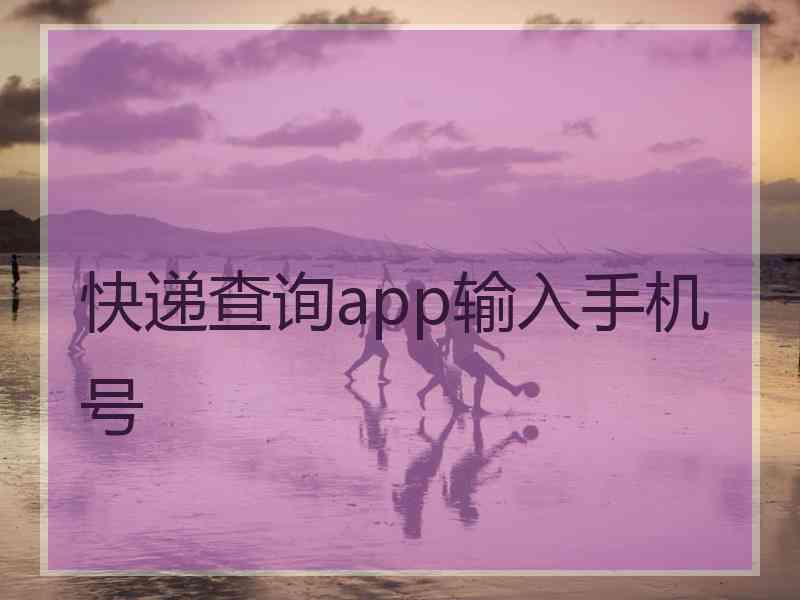 快递查询app输入手机号