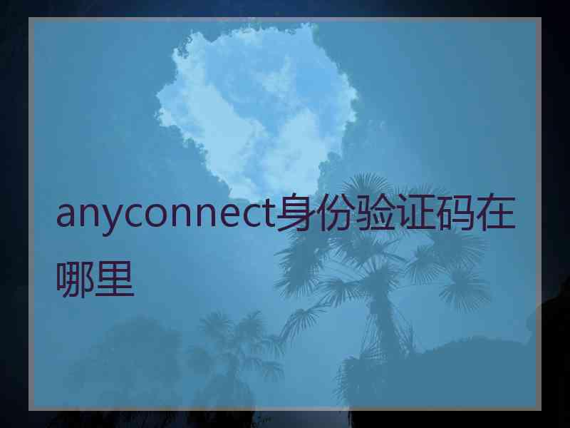 anyconnect身份验证码在哪里