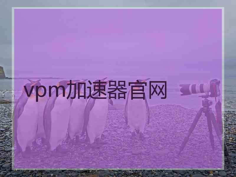 vpm加速器官网