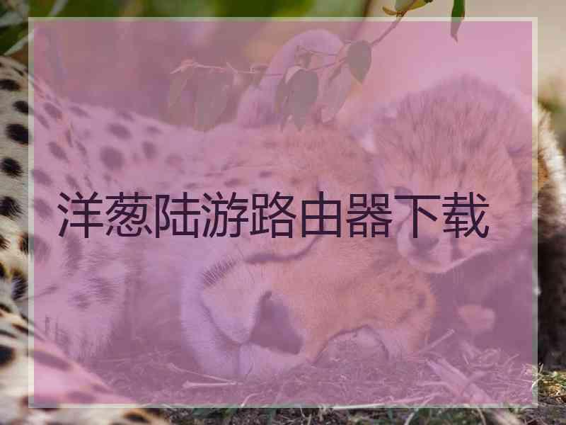 洋葱陆游路由器下载