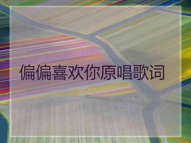 偏偏喜欢你原唱歌词