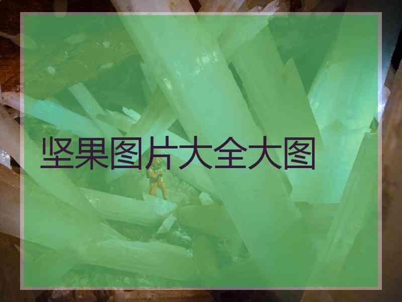 坚果图片大全大图