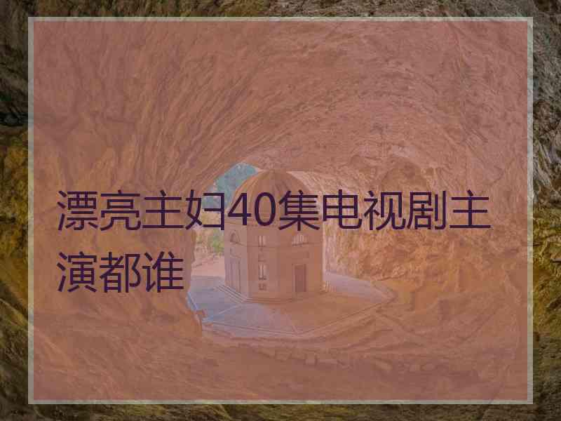 漂亮主妇40集电视剧主演都谁