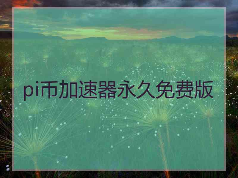 pi币加速器永久免费版