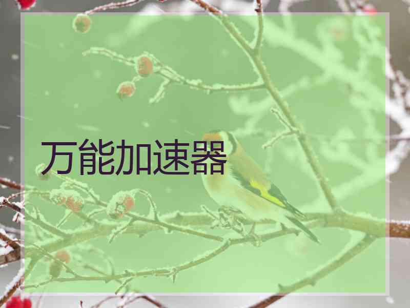 万能加速器