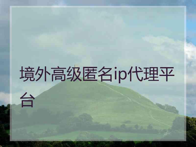 境外高级匿名ip代理平台