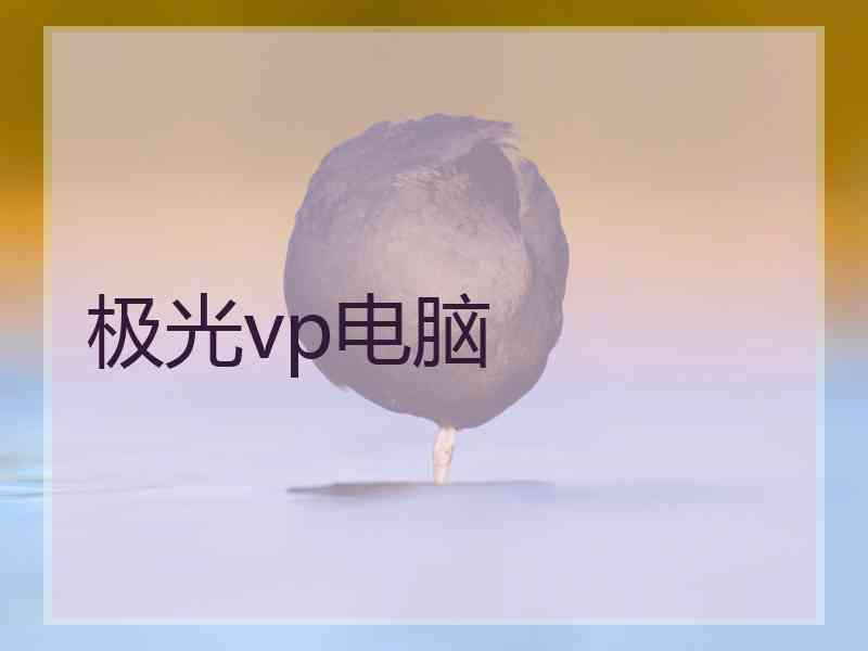 极光vp电脑