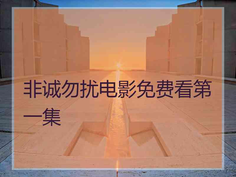 非诚勿扰电影免费看第一集