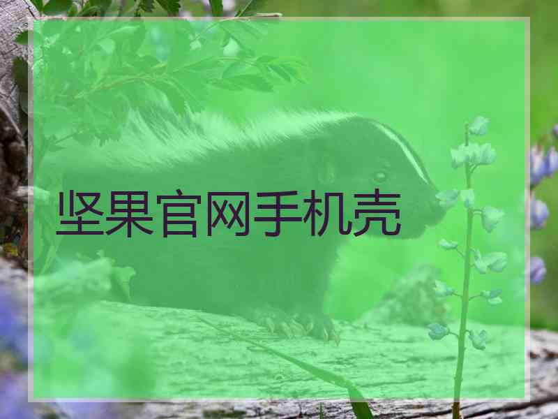 坚果官网手机壳