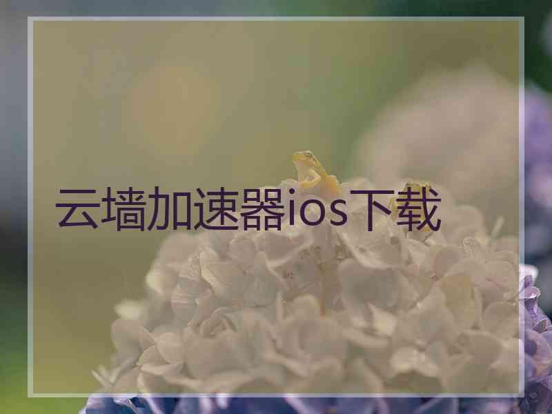 云墙加速器ios下载