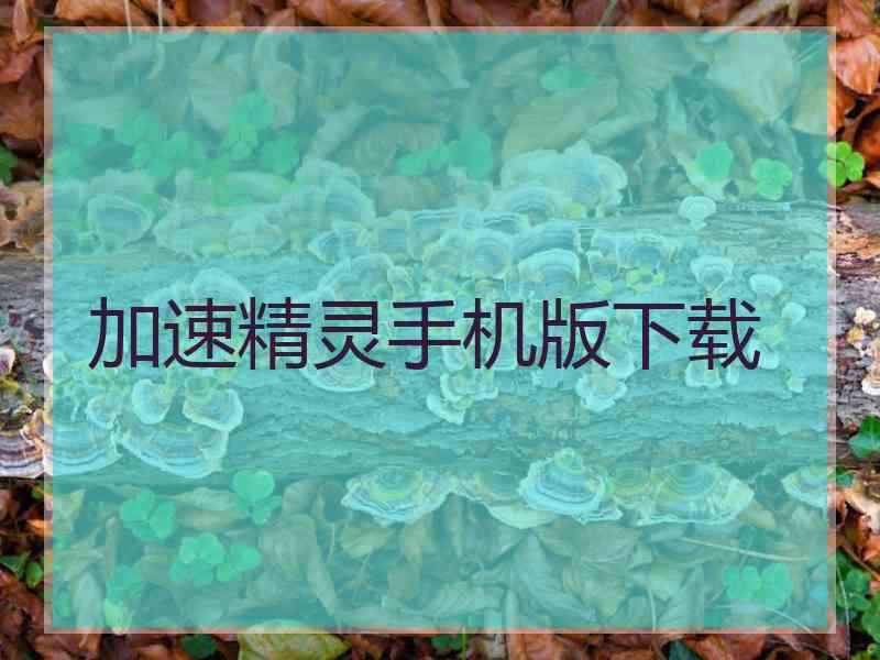 加速精灵手机版下载