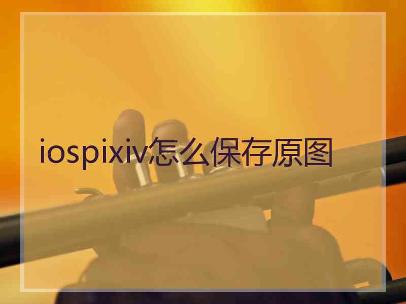 iospixiv怎么保存原图