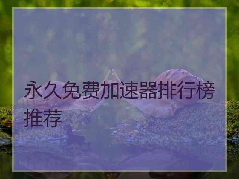 永久免费加速器排行榜推荐