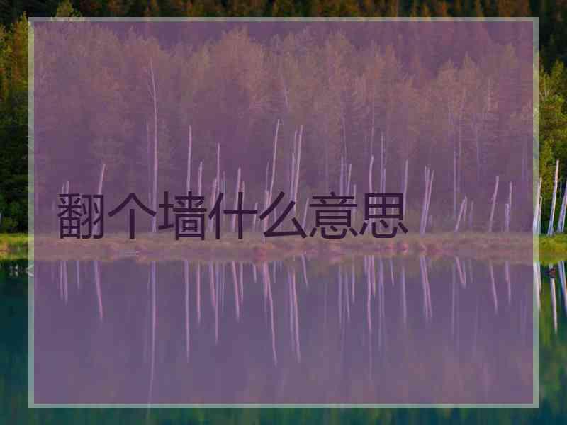 翻个墙什么意思