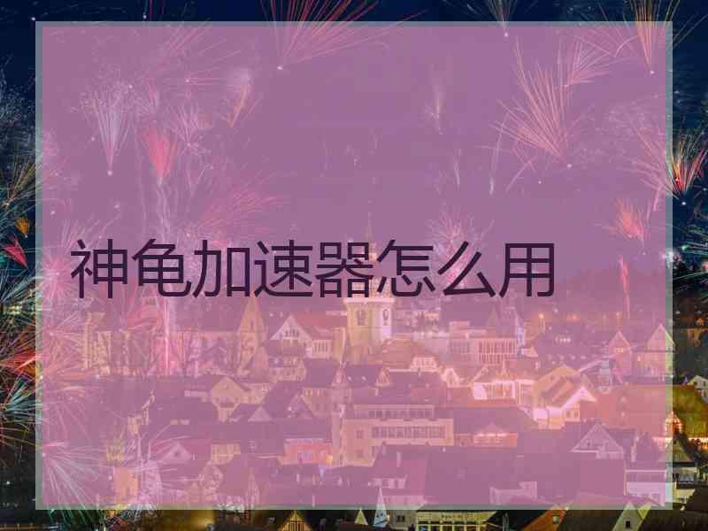 神龟加速器怎么用