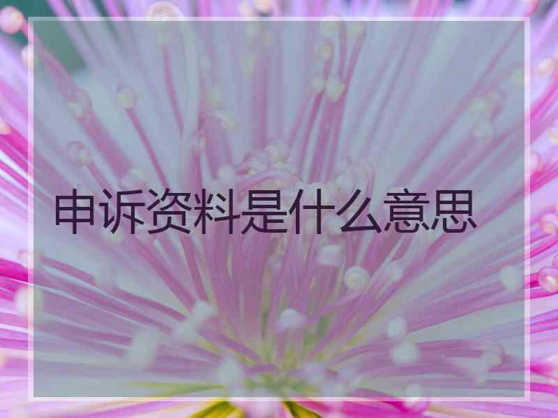 申诉资料是什么意思